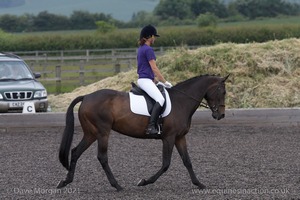 ISIS Dressage Challenge 2008